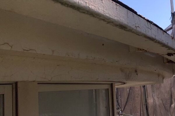 四街道市　クリニック　屋根塗装・外壁塗装　施工前の状態 (1)