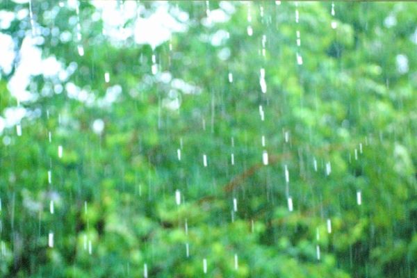 雨の日の外壁塗装はどうしたら良い？確認すべき点や疑問を解説