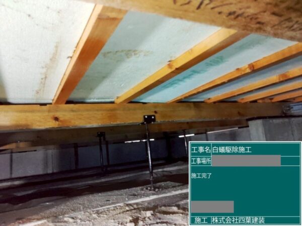 千葉県市川市　Y様邸　シロアリ駆除の施工をおこないました！