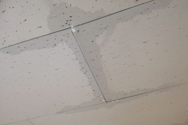 雨漏りはどこから発生する？原因となる箇所と特定する方法を解説
