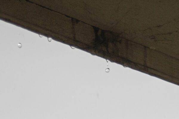 雨漏りはどこから発生する?原因となる箇所と特定する方法を解説